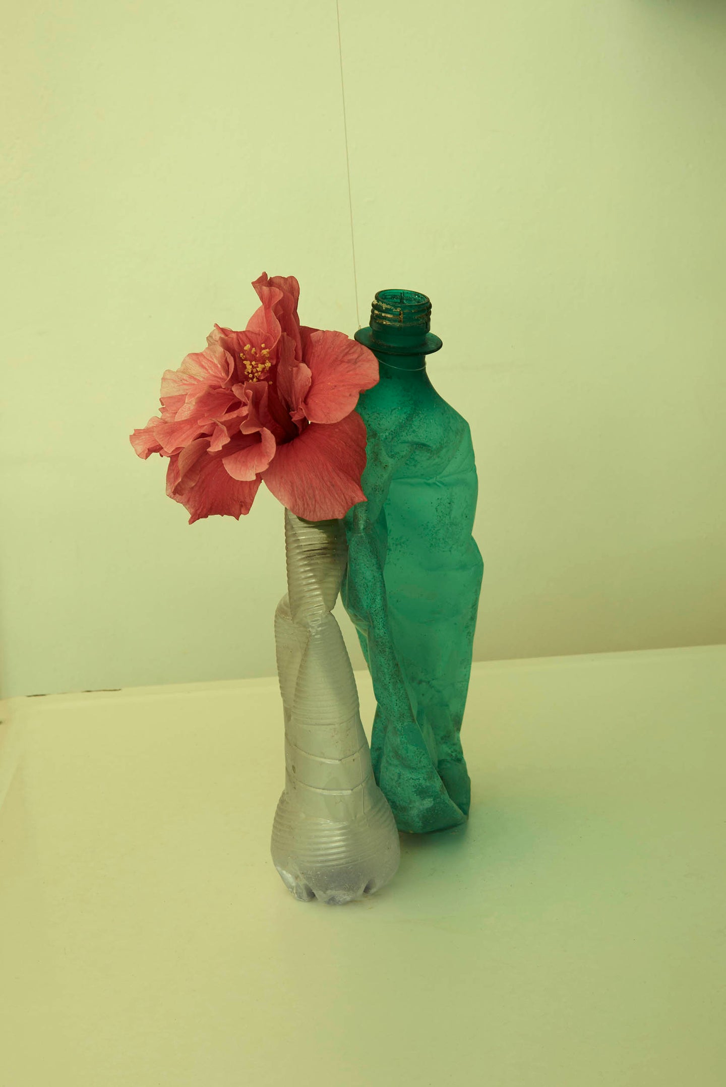 Beata Nowak & Michel Poivert - Flower Power