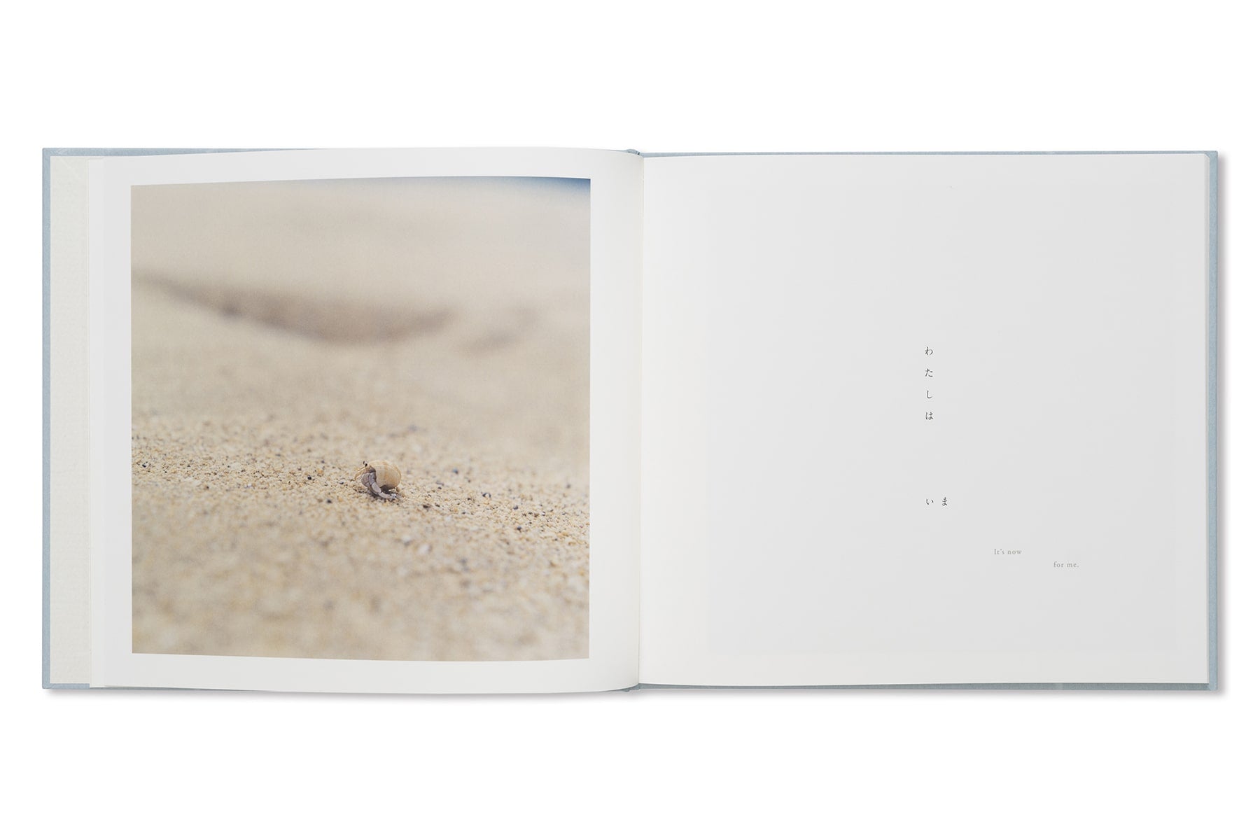 アート・デザイン・音楽 Rinko kawauchi Rinko Kawauchi - Here and Now – Galerie Écho