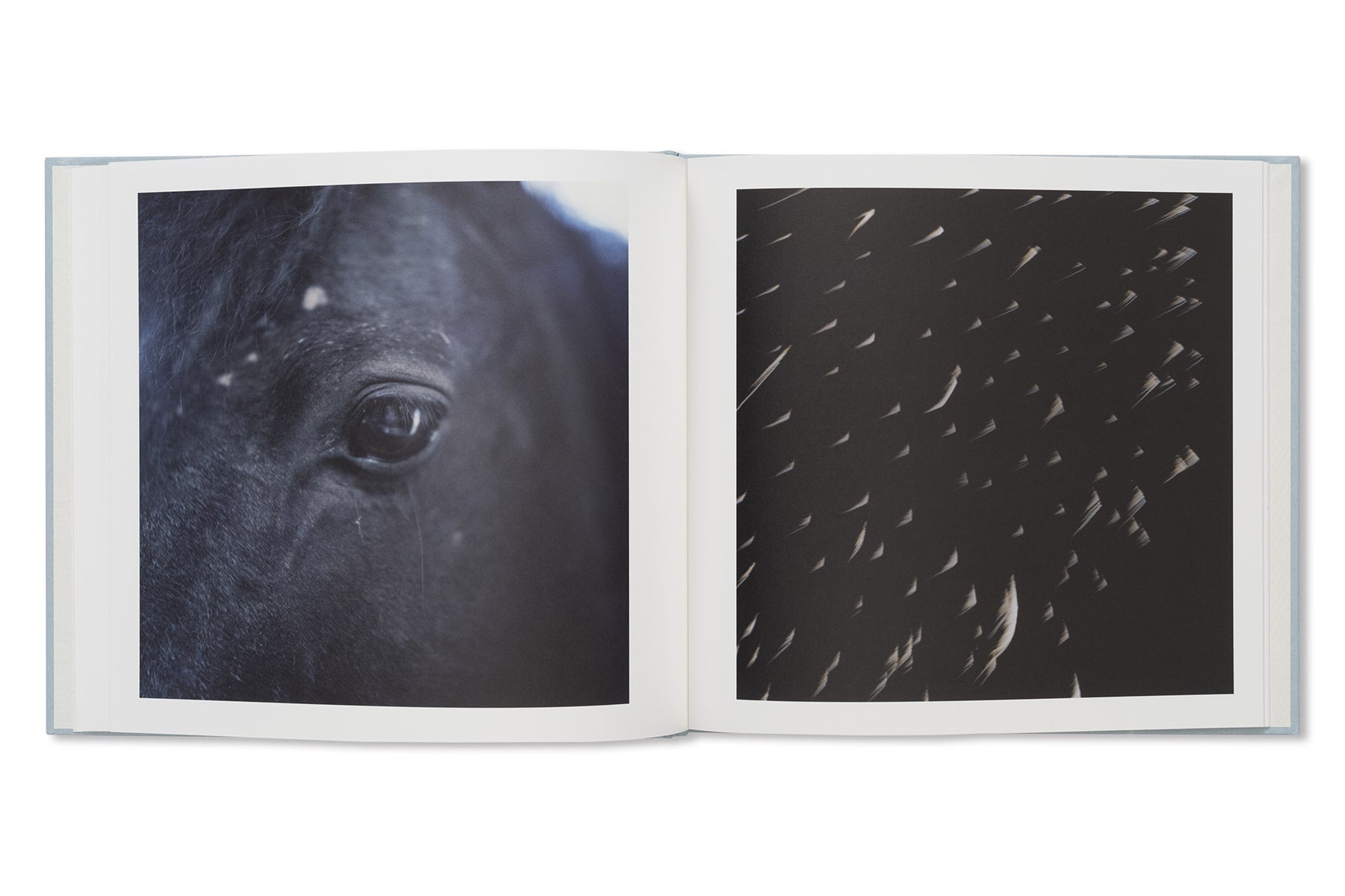 Rinko Kawauchi - Here and Now – Galerie Écho