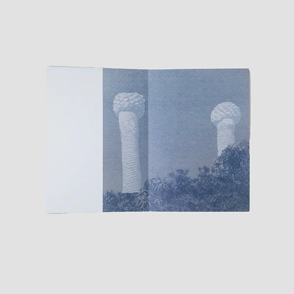 Isis Ascobereta - Myriad (signed)