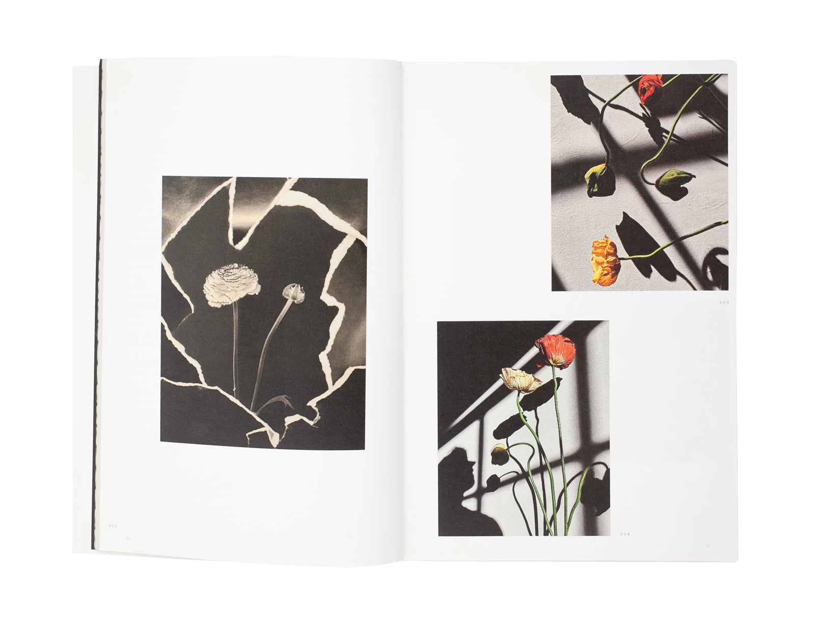 Sarah van Rij, David van der Leeuw, Yuki Shimizu - The Netherlands × Chiba