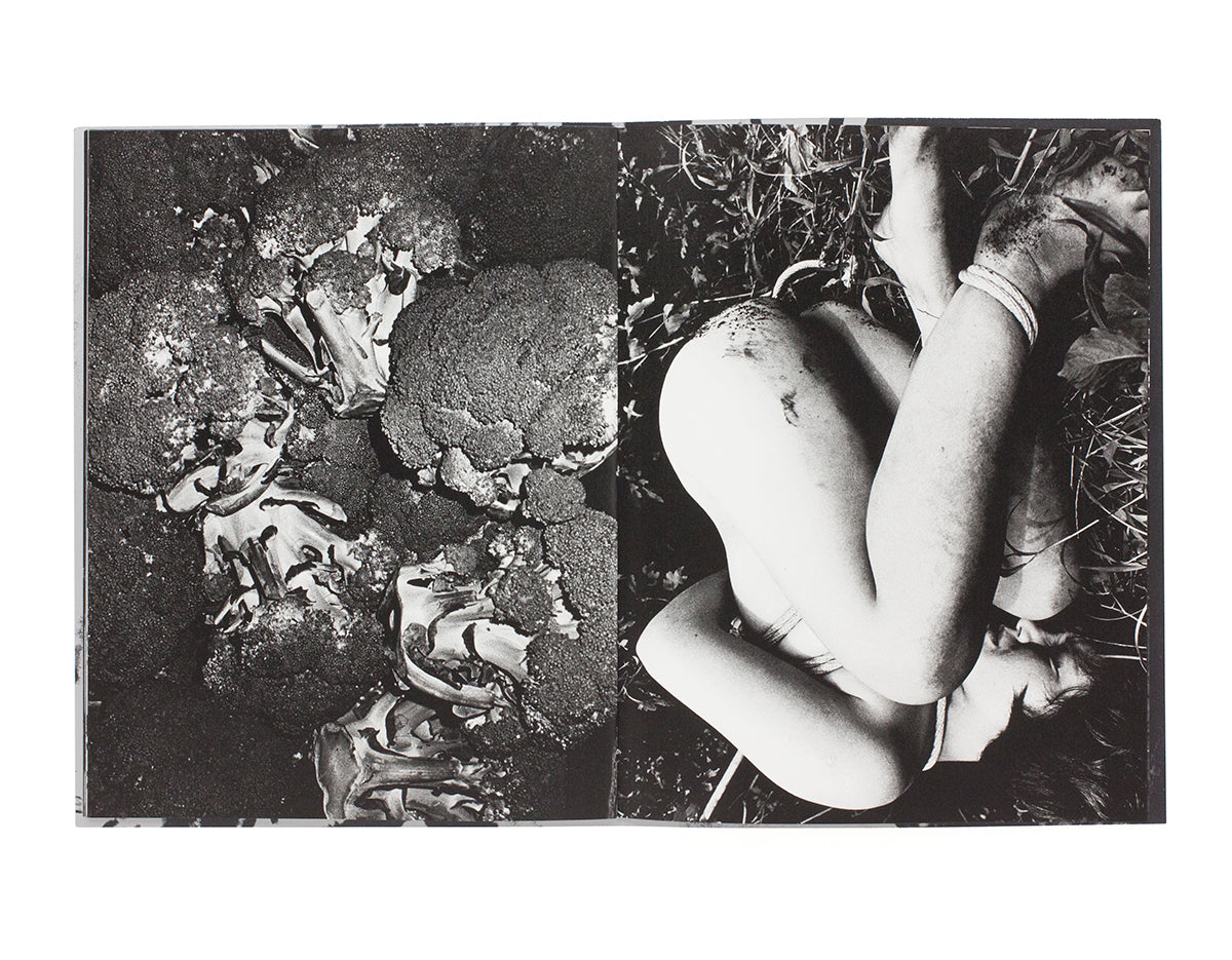 Daido Moriyama - Fukei A (signé)