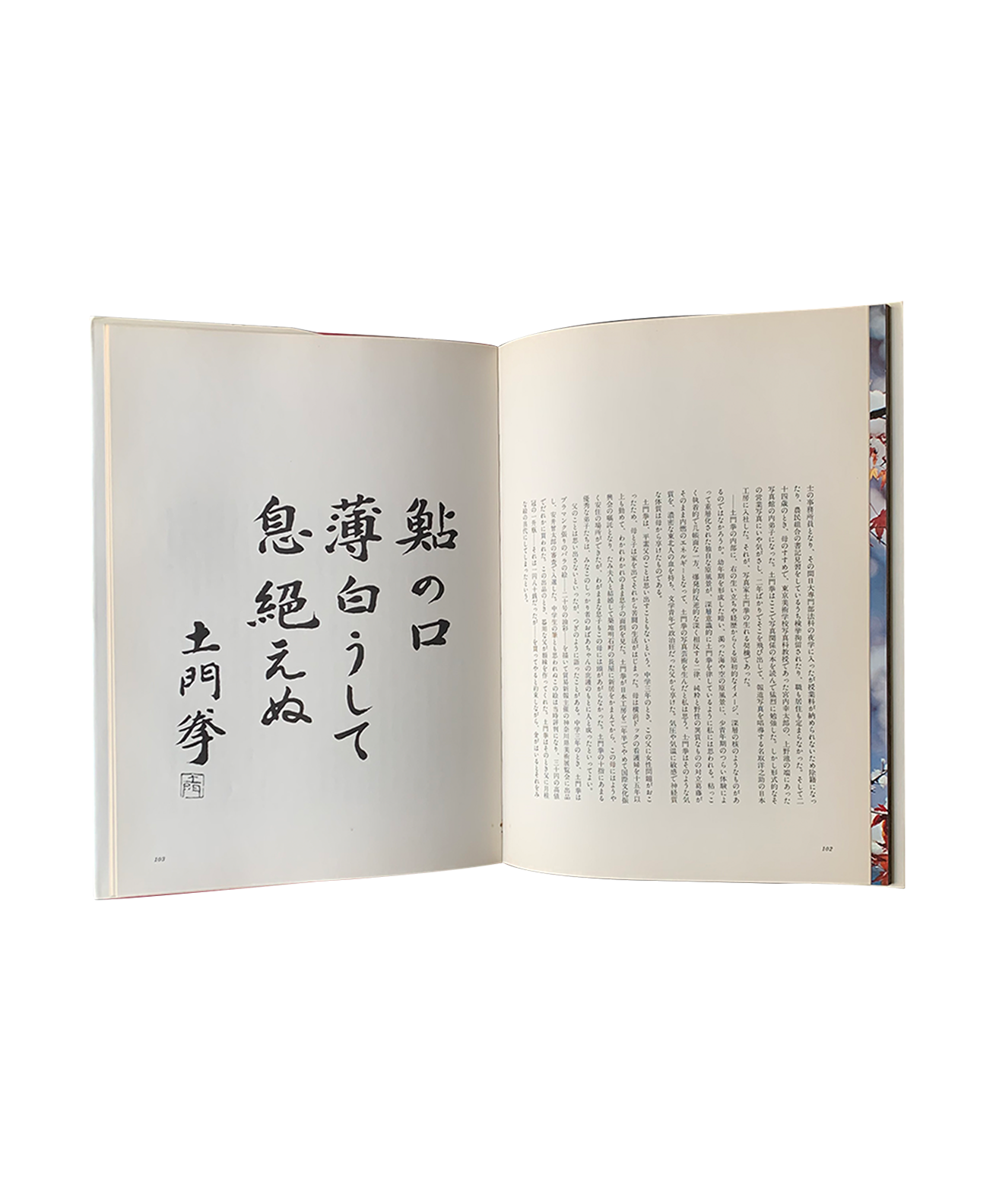 Ken Domon - Fukei