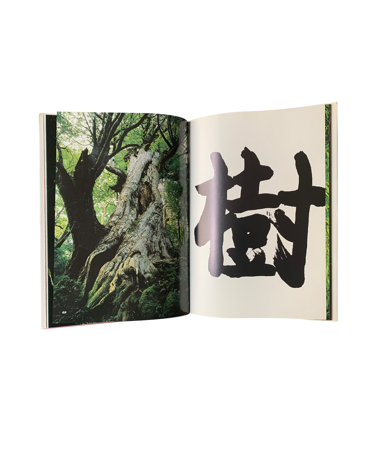 Ken Domon - Fukei