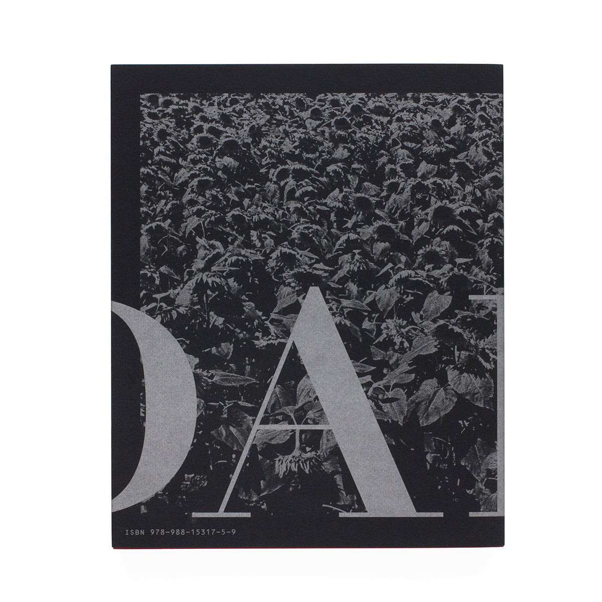 Daido Moriyama - Reflection and Refraction
