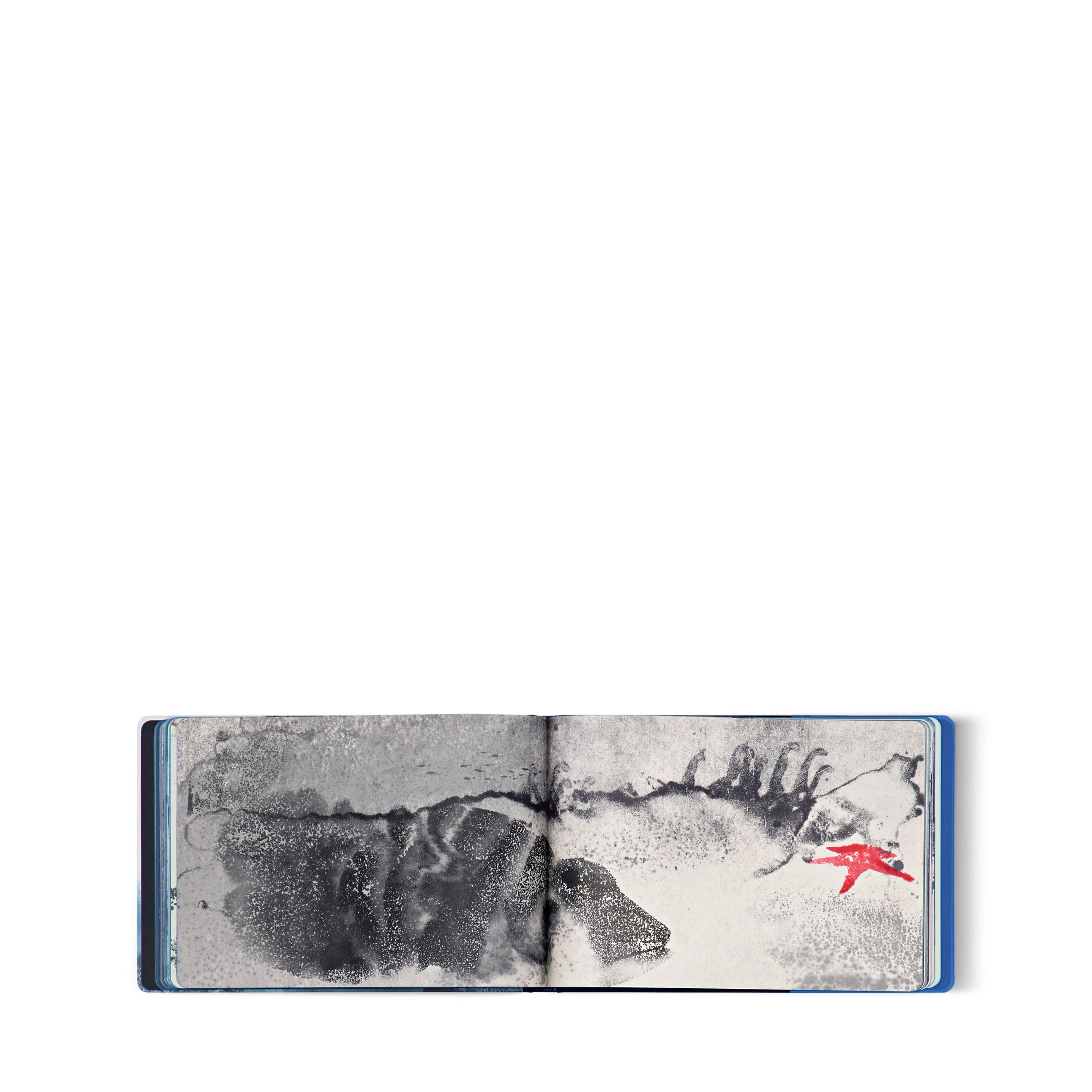 Aurore de la Morinerie - Travel Book Mediterranean