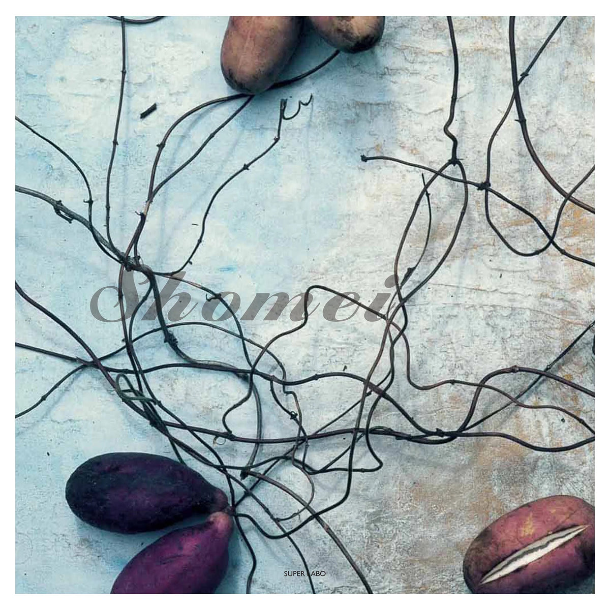 Shomei Tomatsu - Make