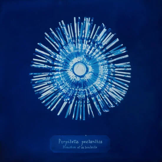 Manon Lanjouère - Les particules