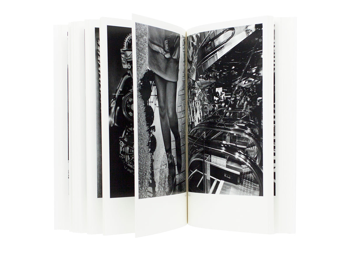 Daido Moriyama - Dog and Mesh Tights