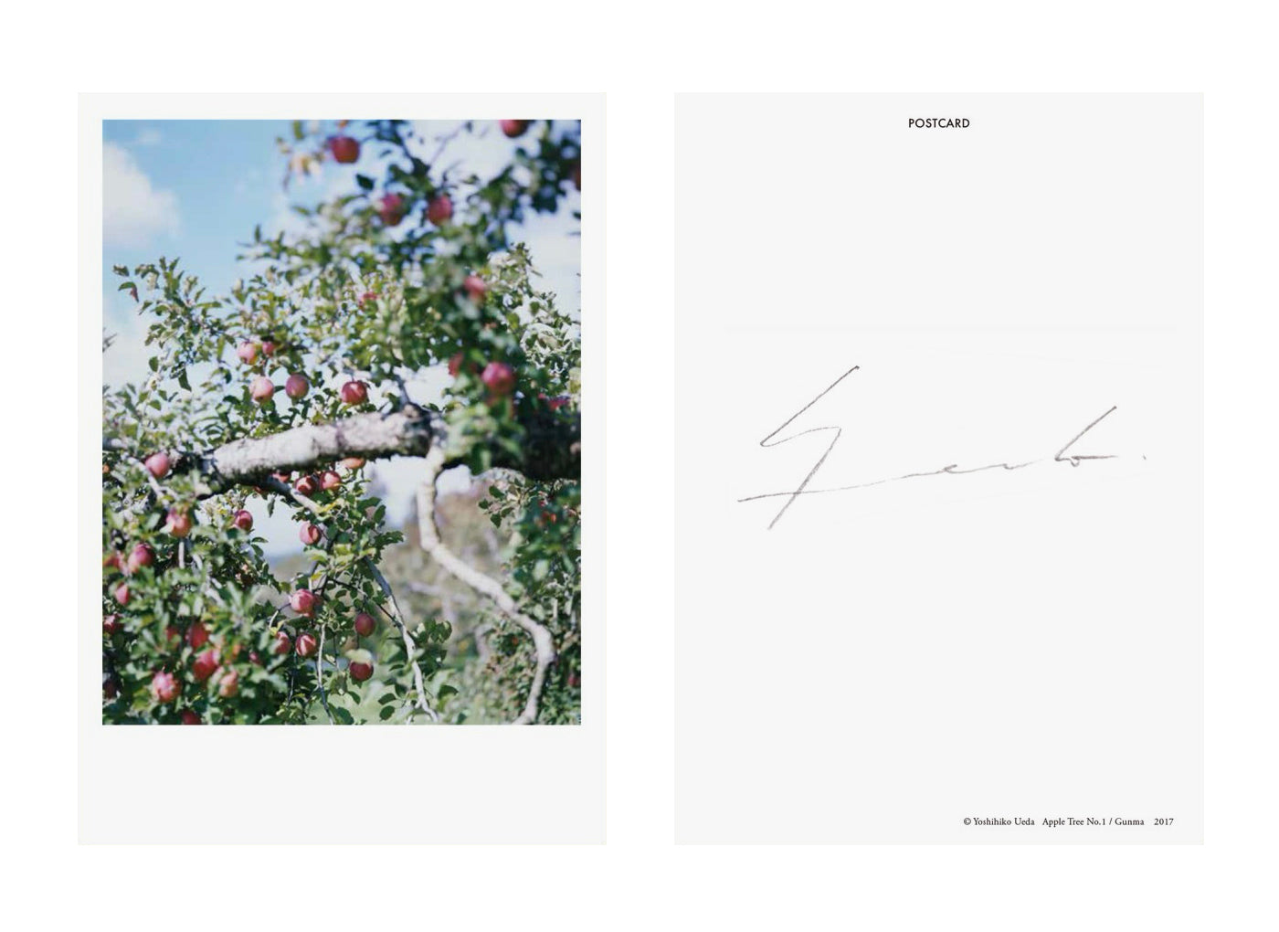 Yoshihiko Ueda - From the Hip