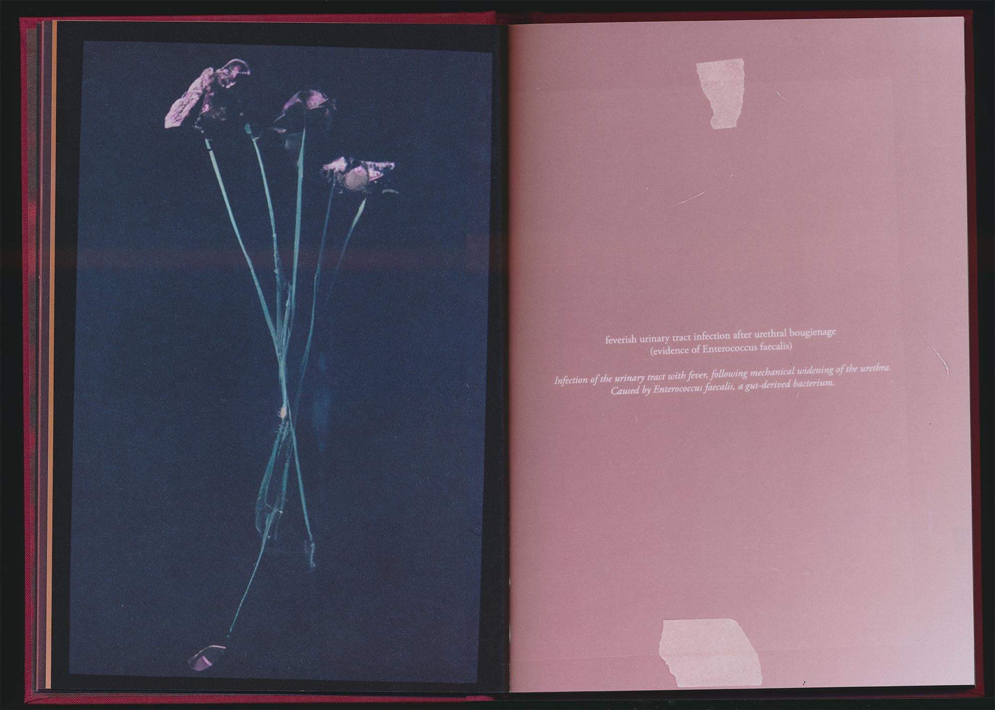 Akosua Viktoria Adu-Sanyah - No Flowers