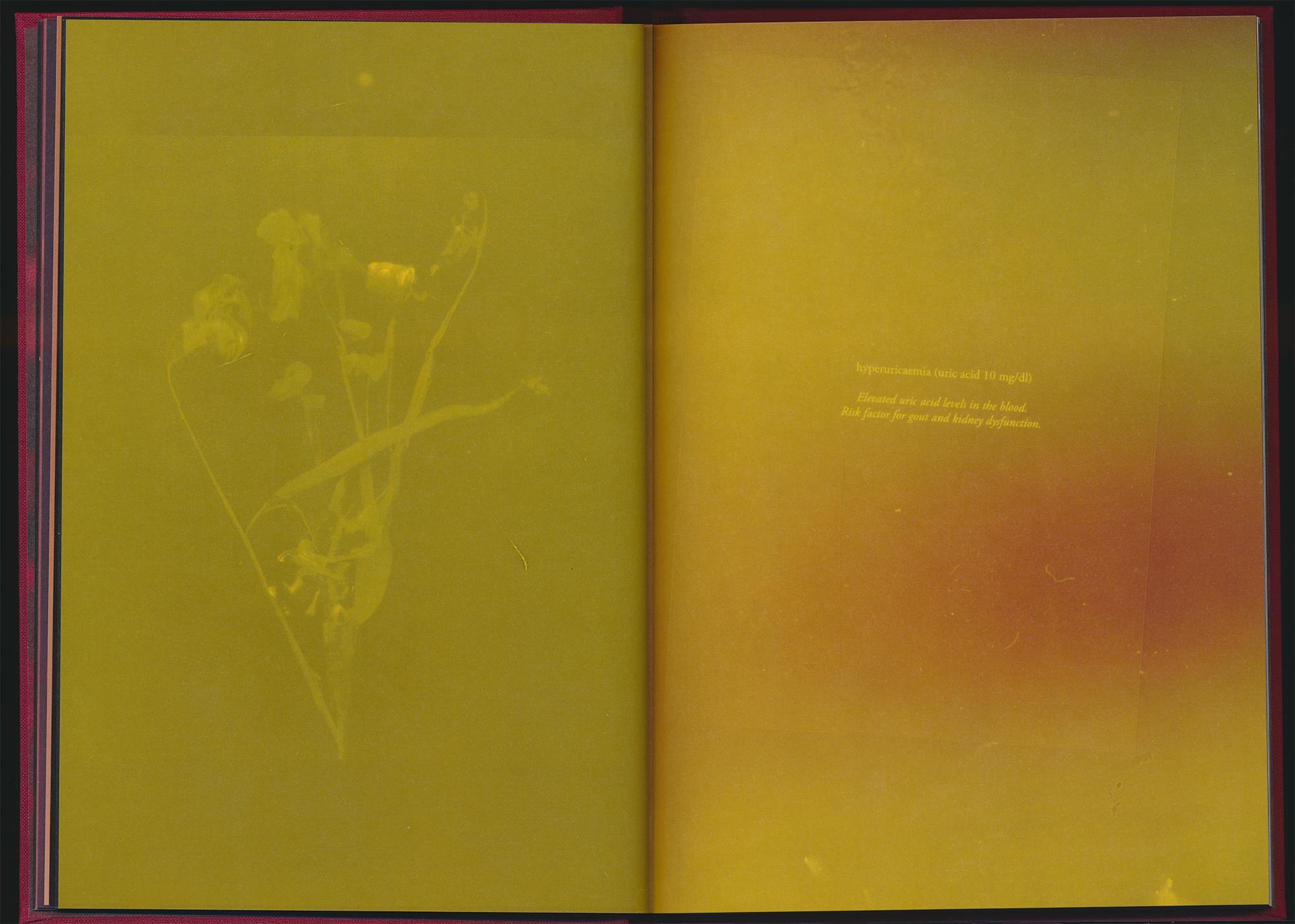 Akosua Viktoria Adu-Sanyah - No Flowers