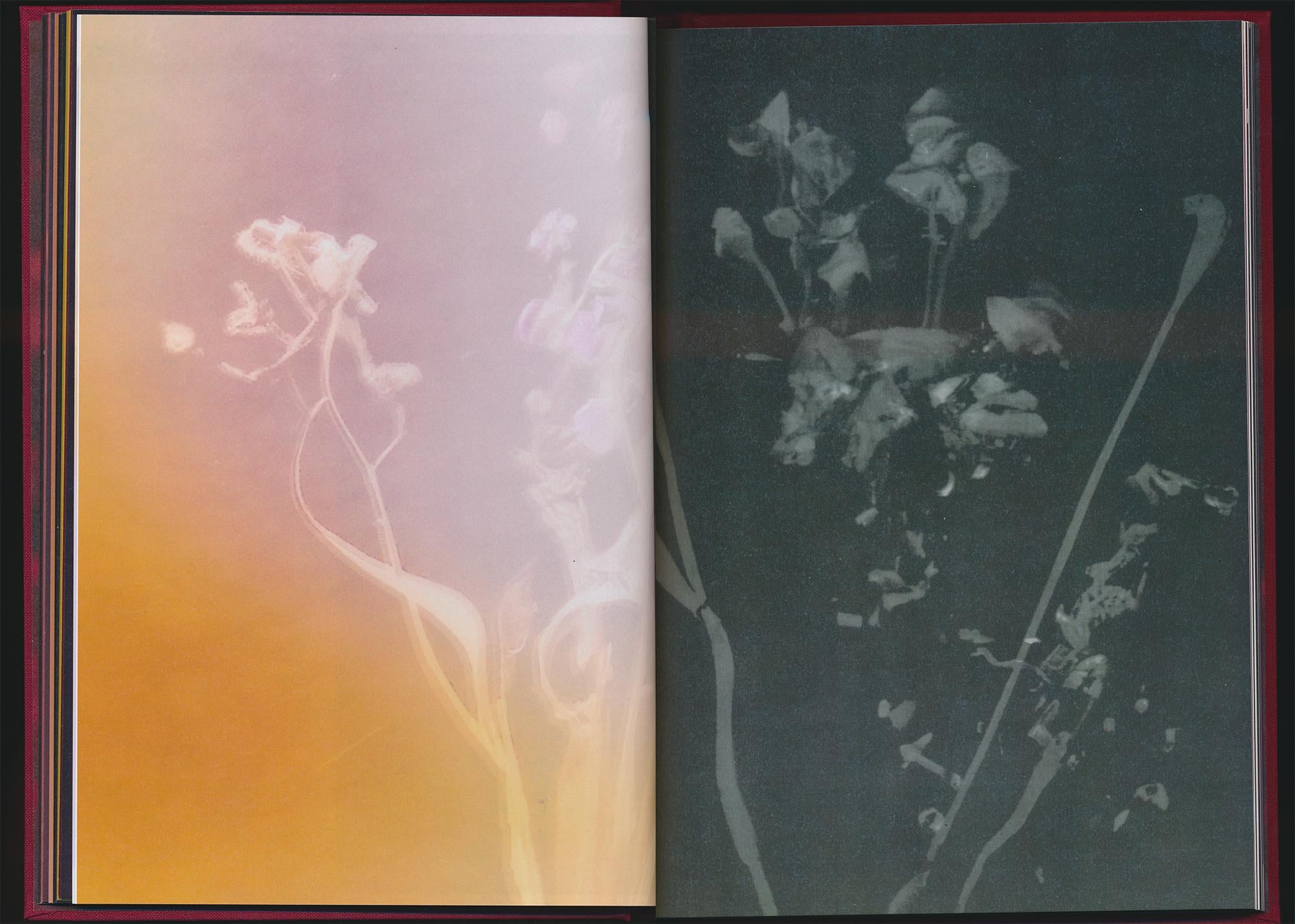 Akosua Viktoria Adu-Sanyah - No Flowers