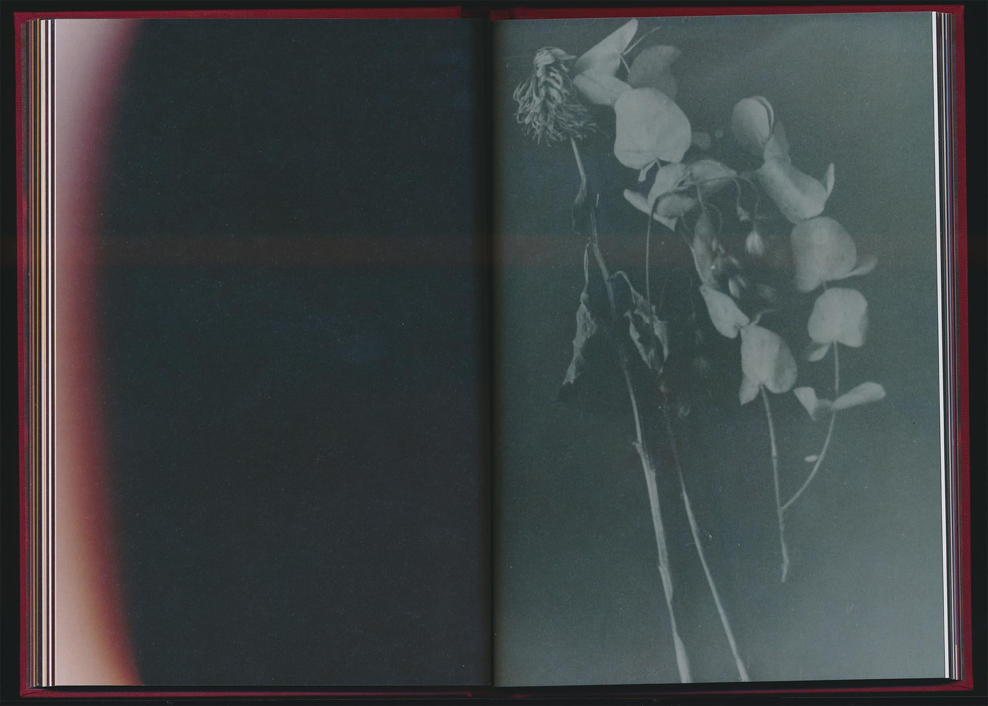 Akosua Viktoria Adu-Sanyah - No Flowers