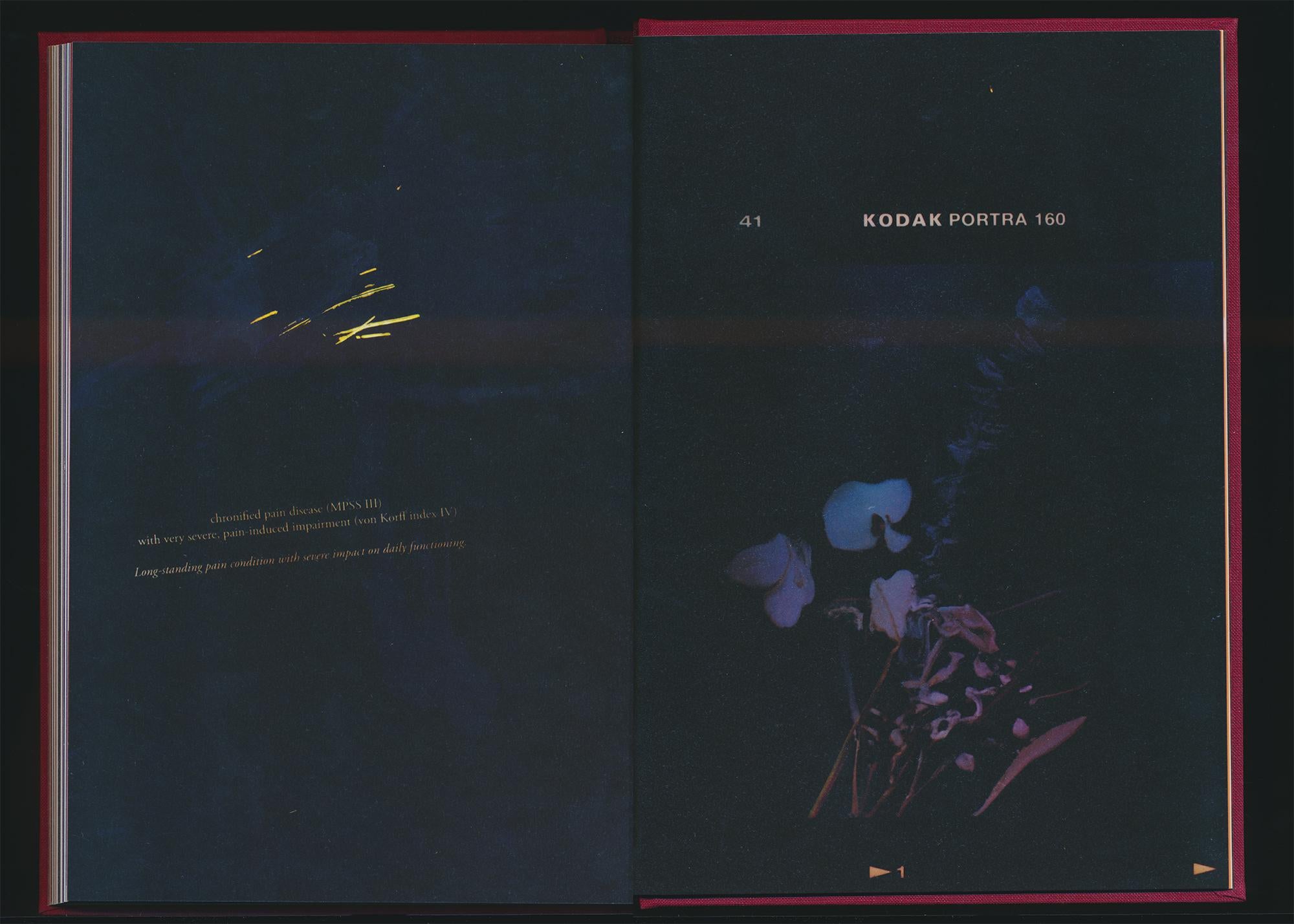 Akosua Viktoria Adu-Sanyah - No Flowers