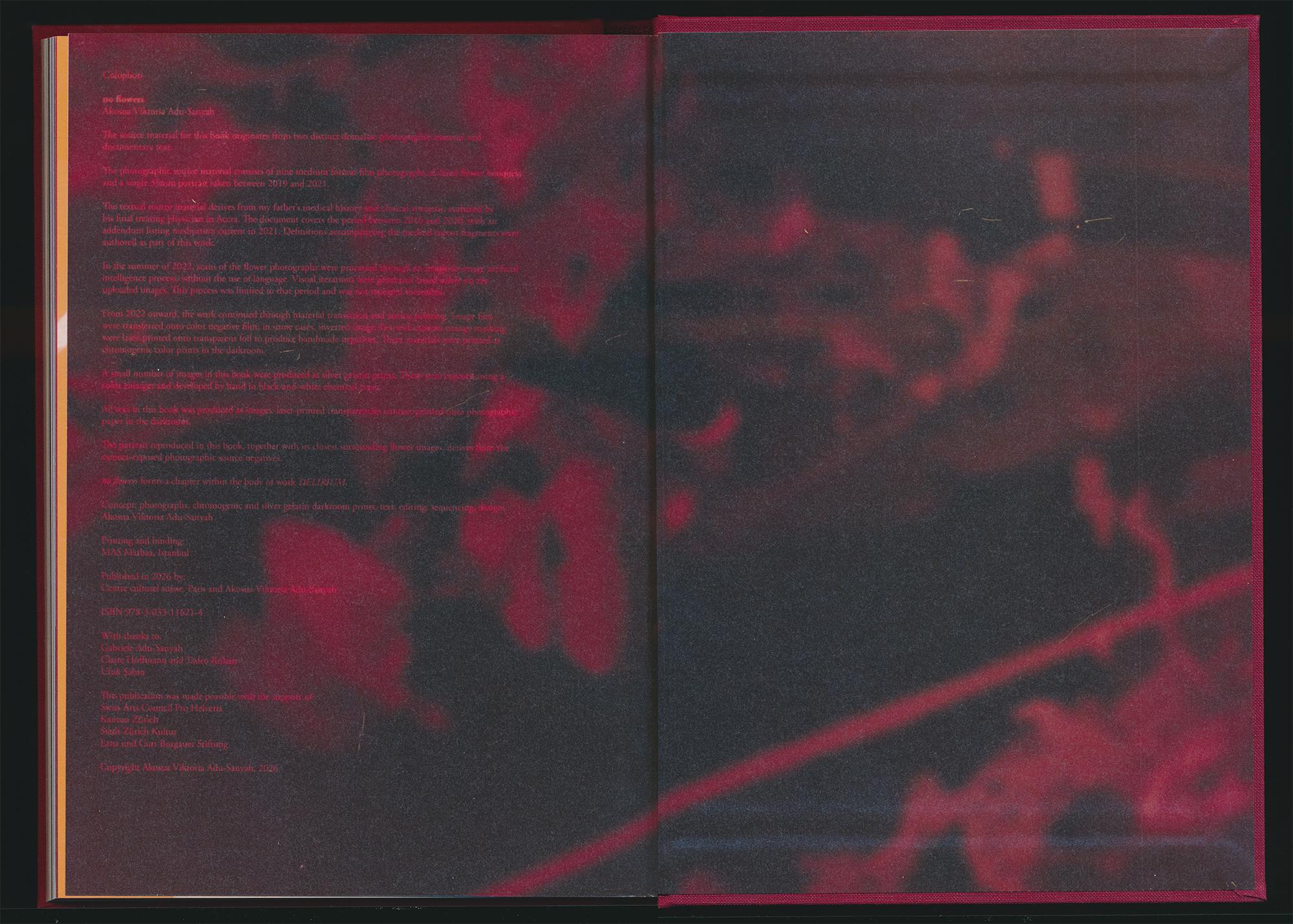 Akosua Viktoria Adu-Sanyah - No Flowers