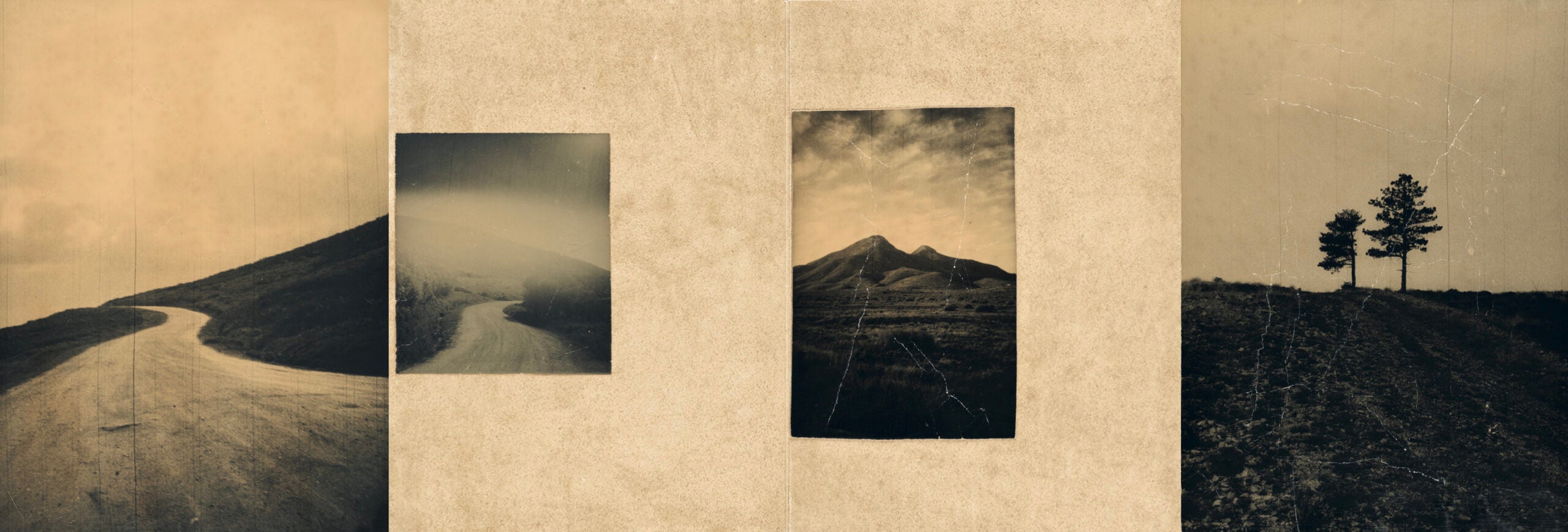 Juanan Requena - El vuelo lleva al vuelo