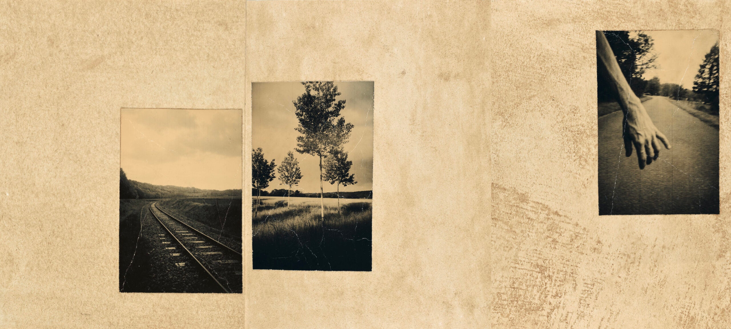 Juanan Requena - El vuelo lleva al vuelo