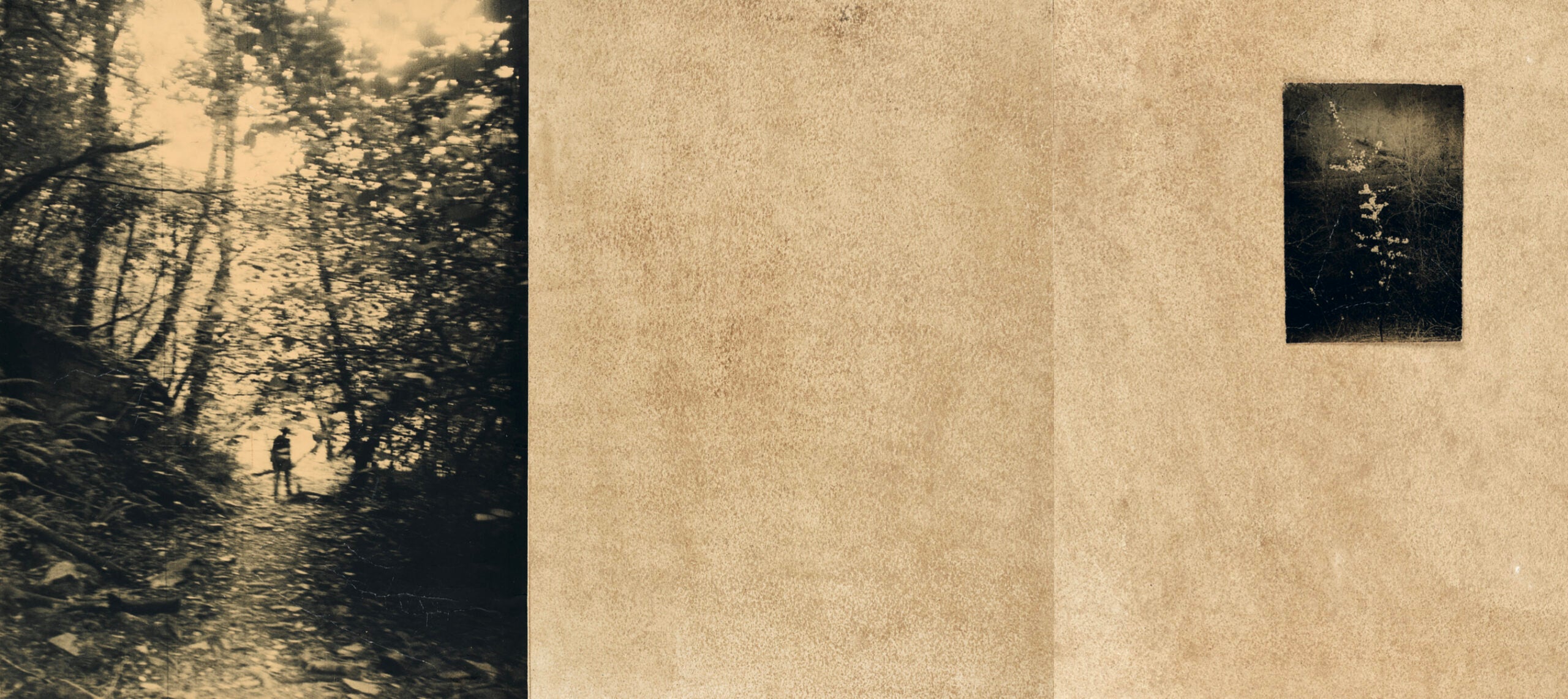 Juanan Requena - El vuelo lleva al vuelo