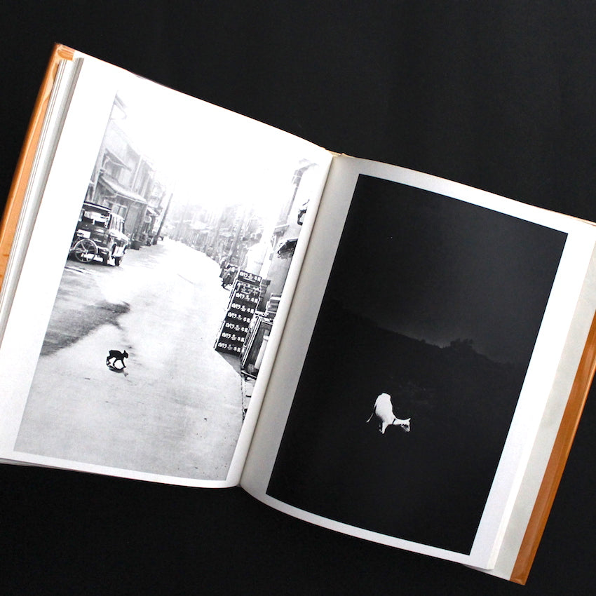 SHOJI UEDA - CHILDREN THE YEAR AROUND