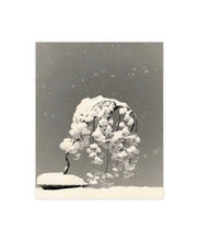 Load image into Gallery viewer, Masao Yamamoto - Bonsai Microcosm Macrocosm