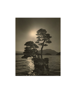 Masao Yamamoto - Bonsai Microcosm Macrocosm