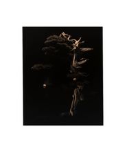 Load image into Gallery viewer, Masao Yamamoto - Bonsai Microcosm Macrocosm