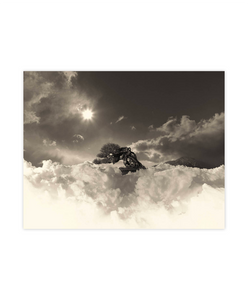 Masao Yamamoto - Bonsai Microcosm Macrocosm