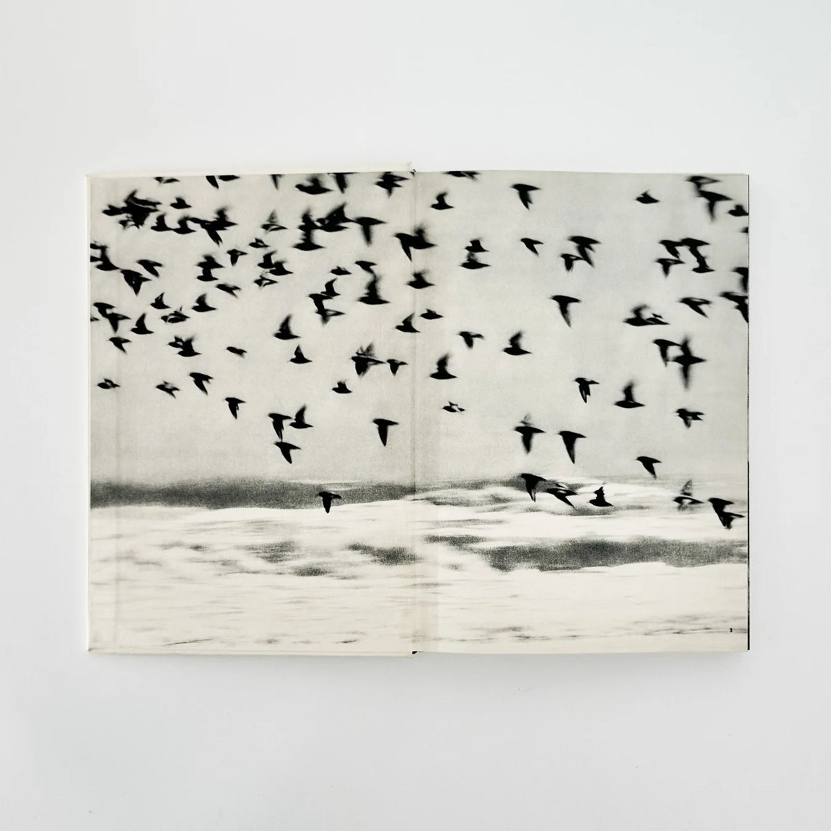 Yoshiro Koseki - Kujukurihama (People Living by the Sea)