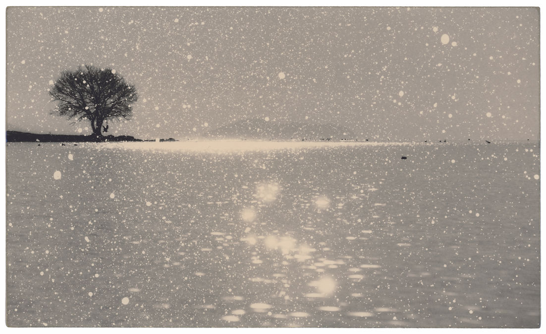 Masao Yamamoto - Nusa