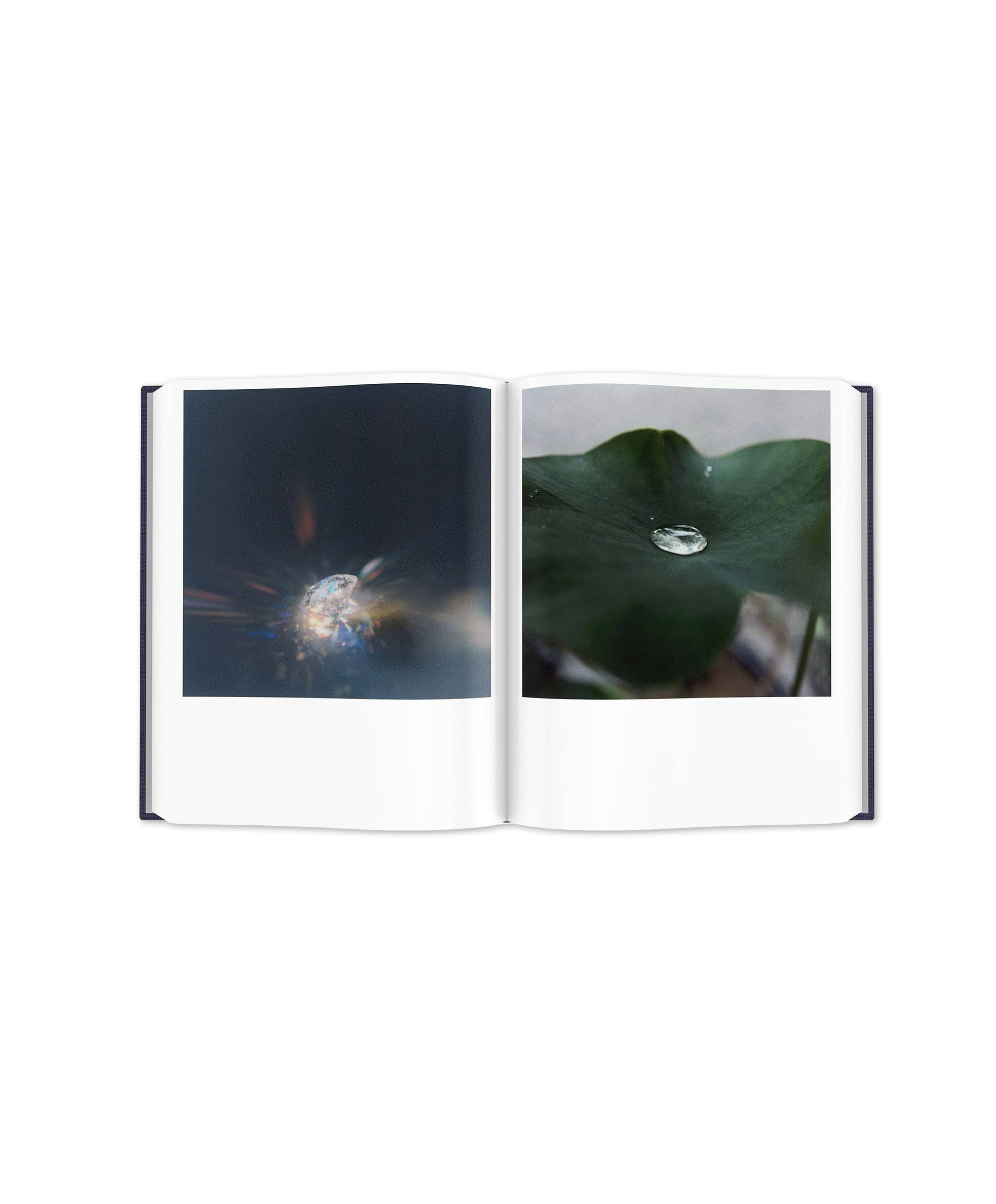 Illuminance (10th anniversary edition) reprint 2025