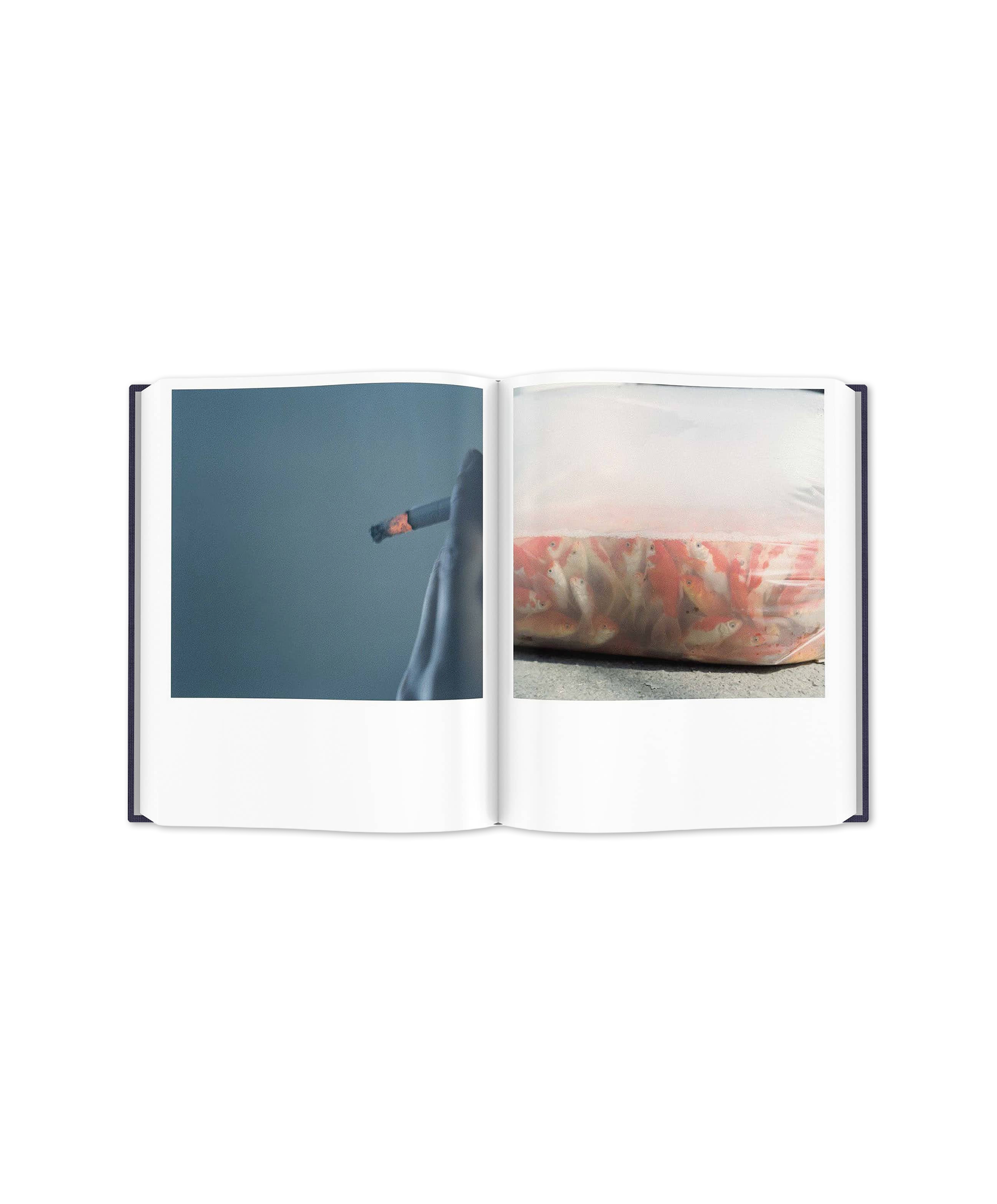 Illuminance (10th anniversary edition) reprint 2025