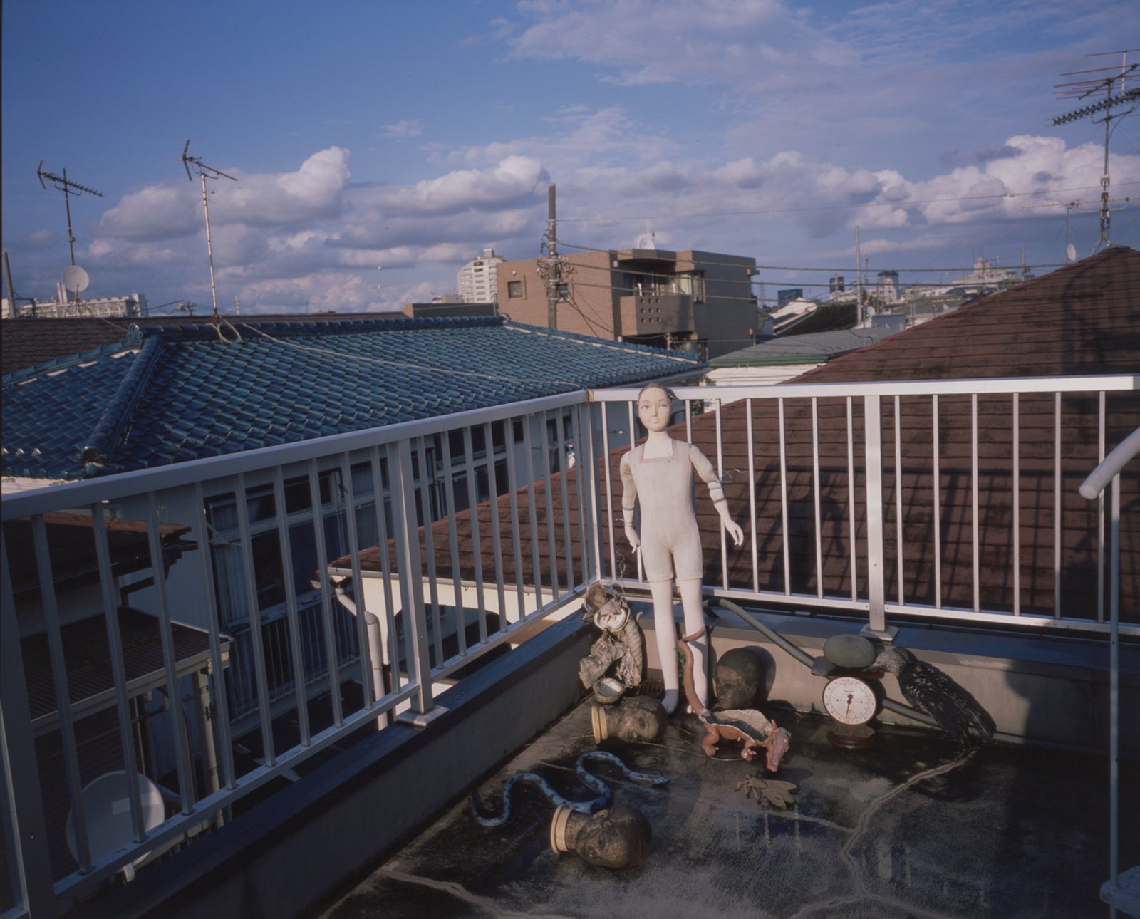 Nobuyoshi Araki - Anbako
