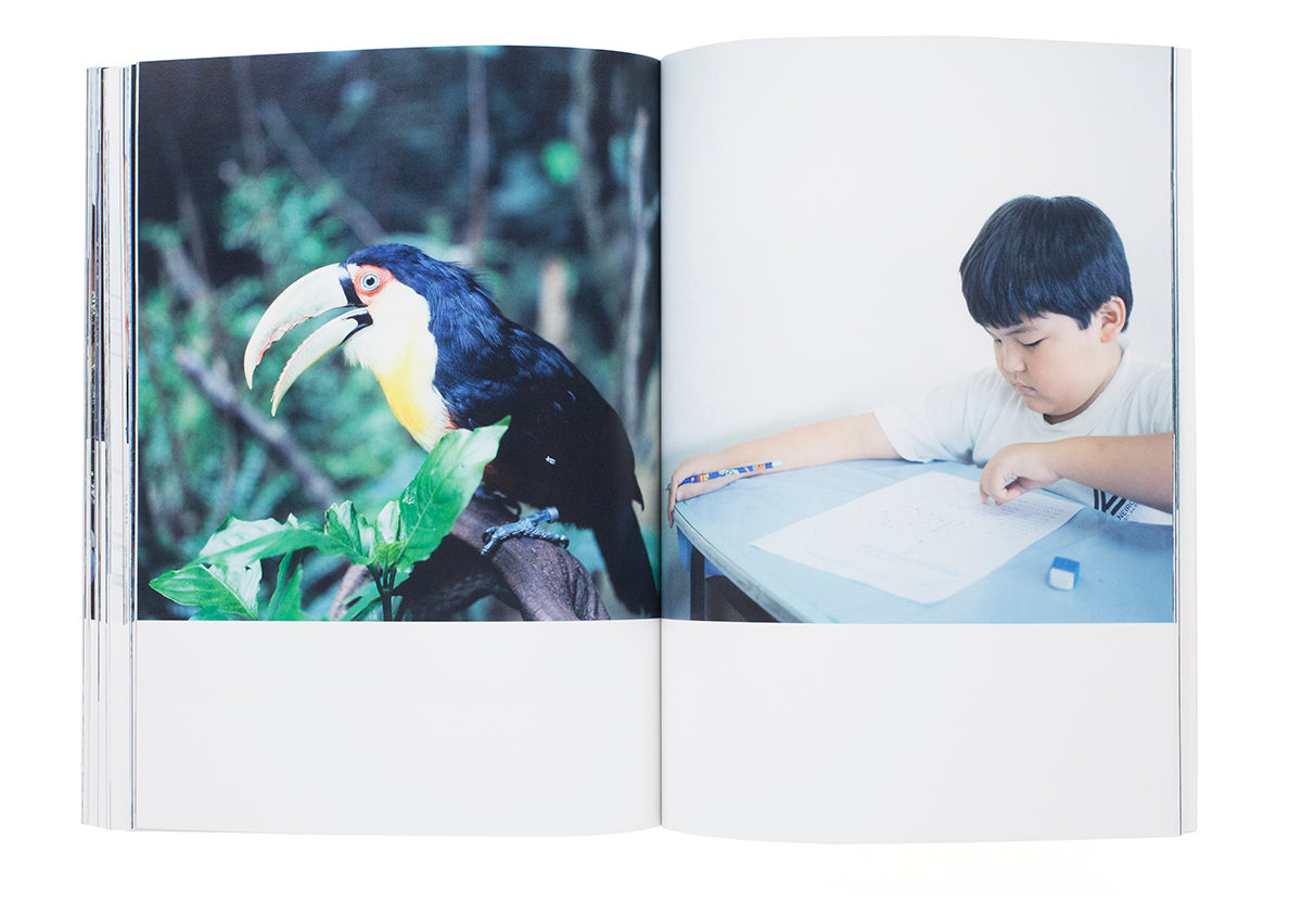 Rinko Kawauchi - Semear