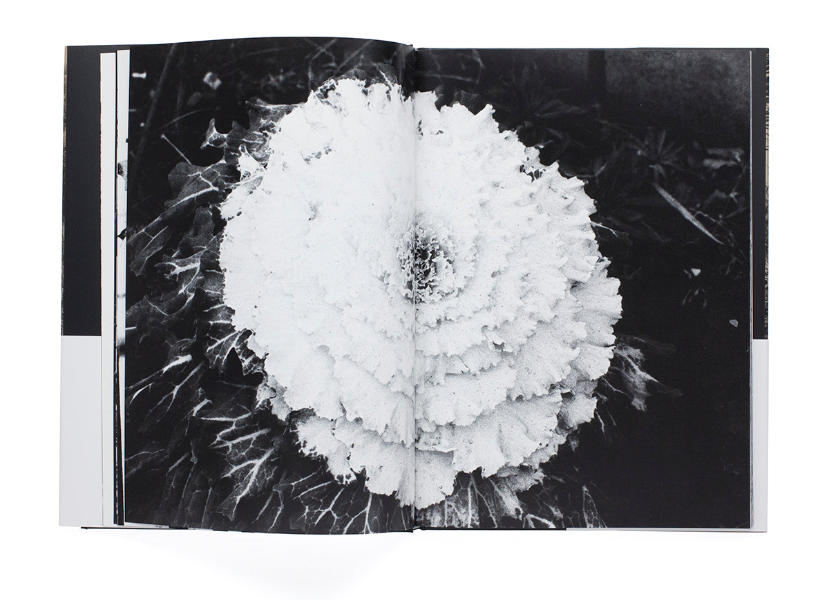 Takuma Nakahira - Adieu à X