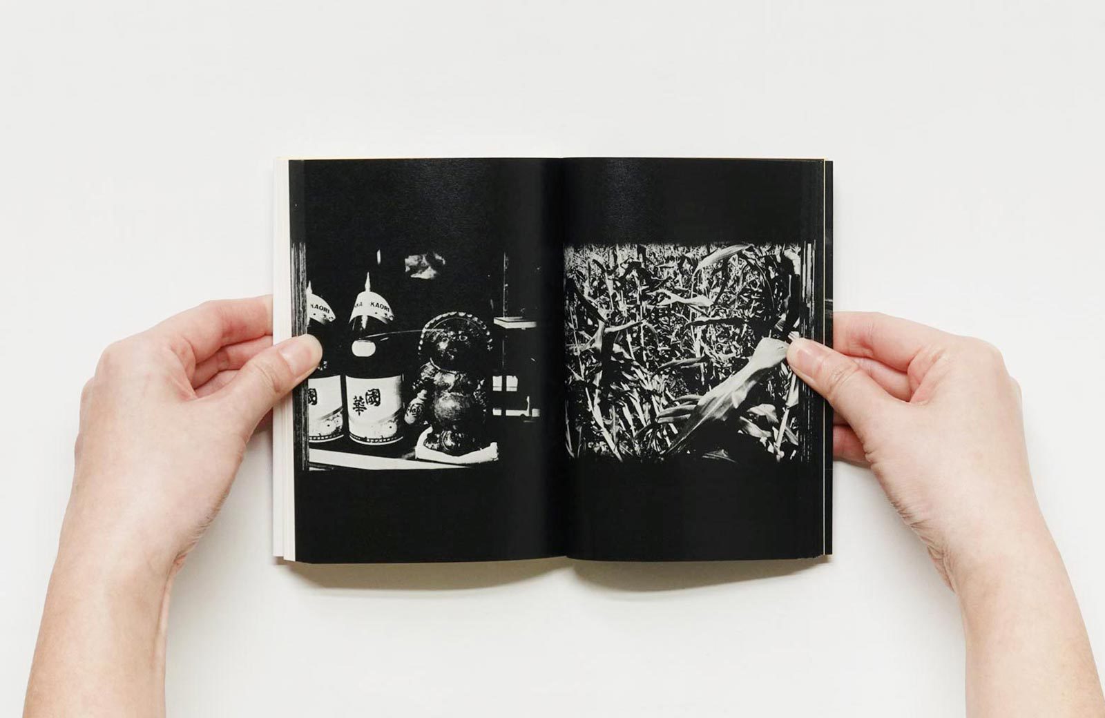 Daido Moriyama - Tales of Tono Monogatari