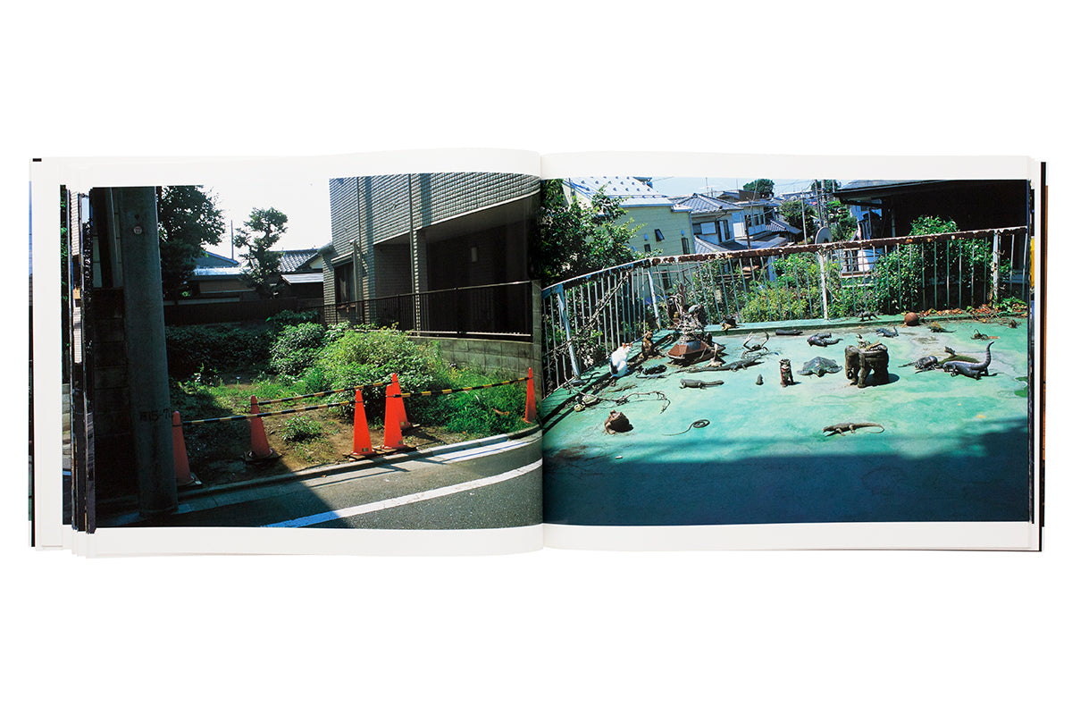 Nobuyoshi Araki - Insert in Summer
