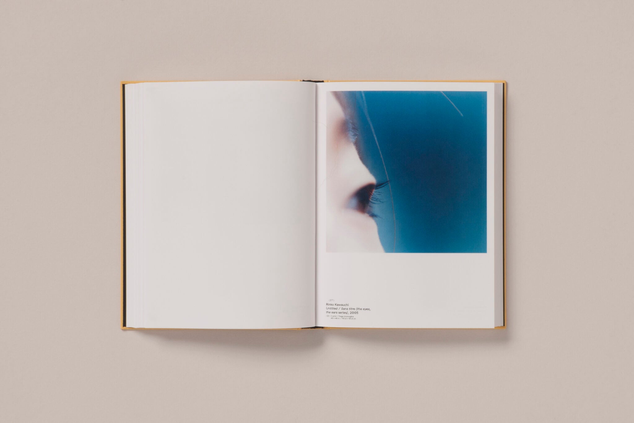 Cécile Poimbœuf-Koizumi & Stephen Ellcock - Clin d'oeil