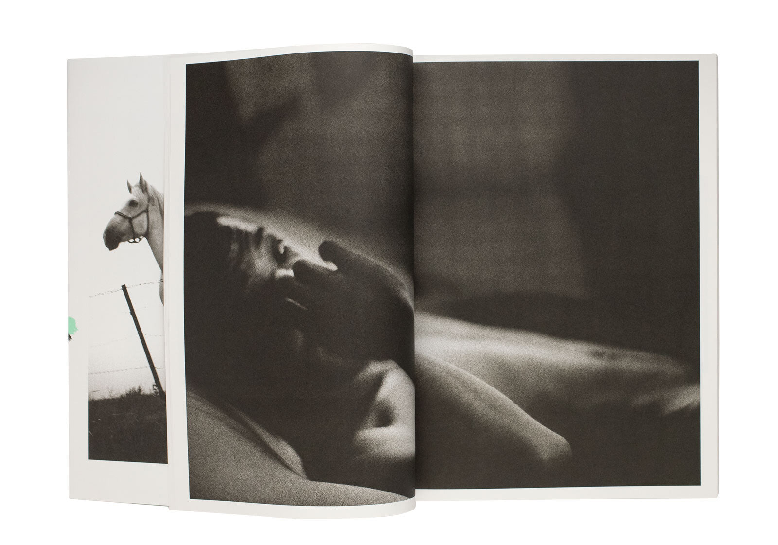 Sakiko Nomura - Blue Water