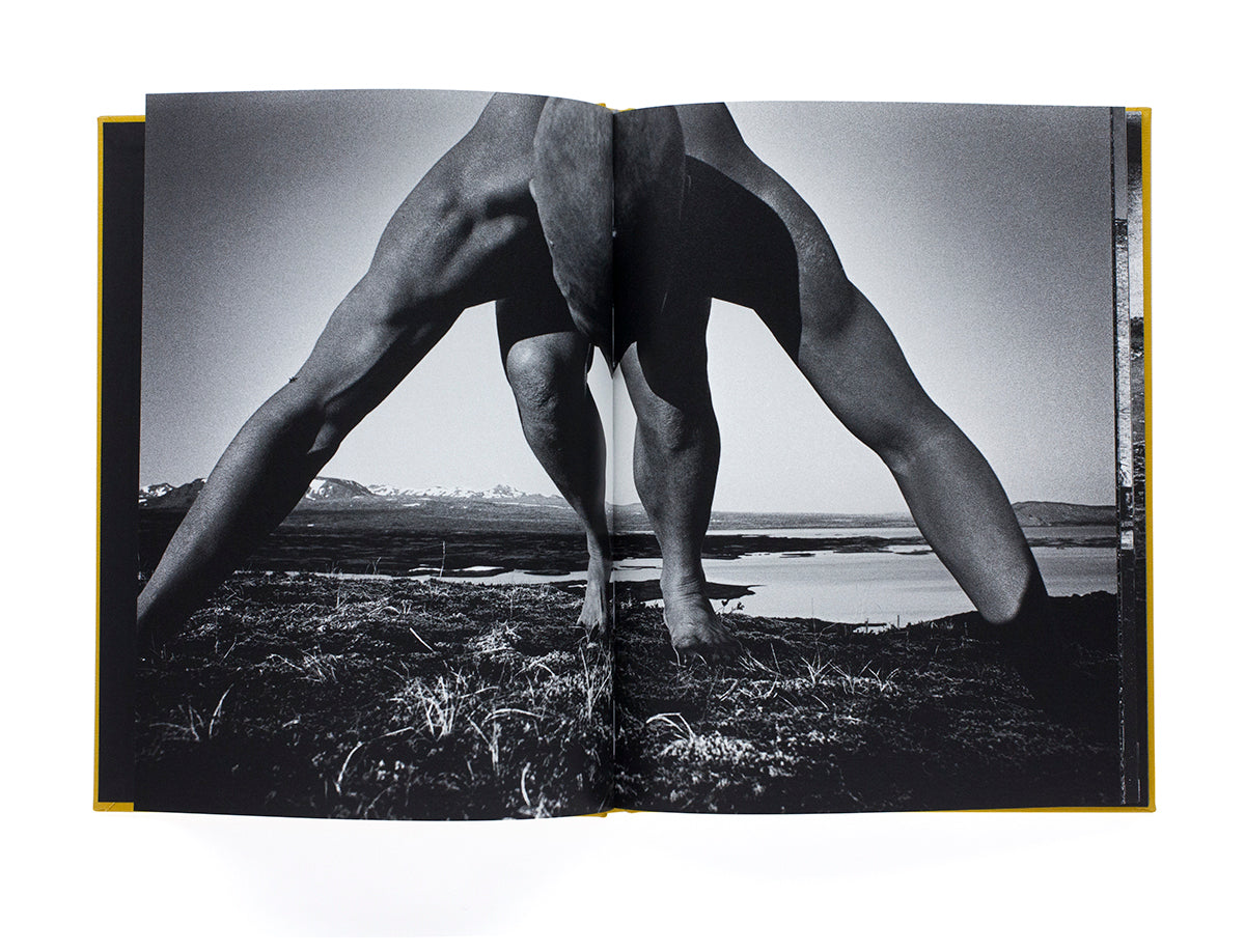 Keiichi Tahara - Photosynthesis