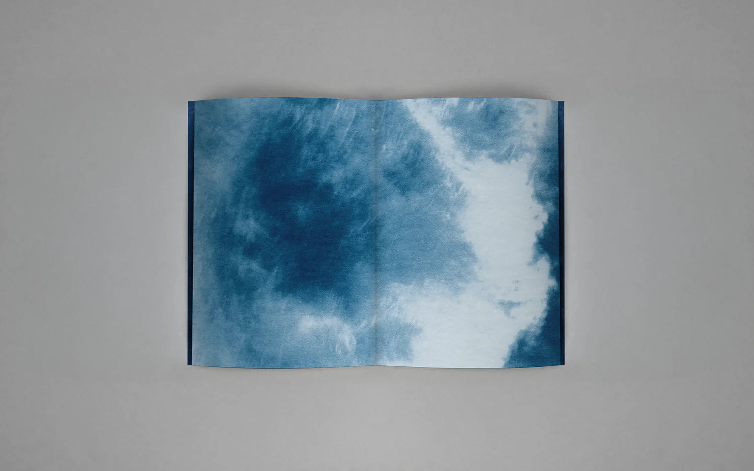 Małgorzata Stankiewicz - Viridescent, afire