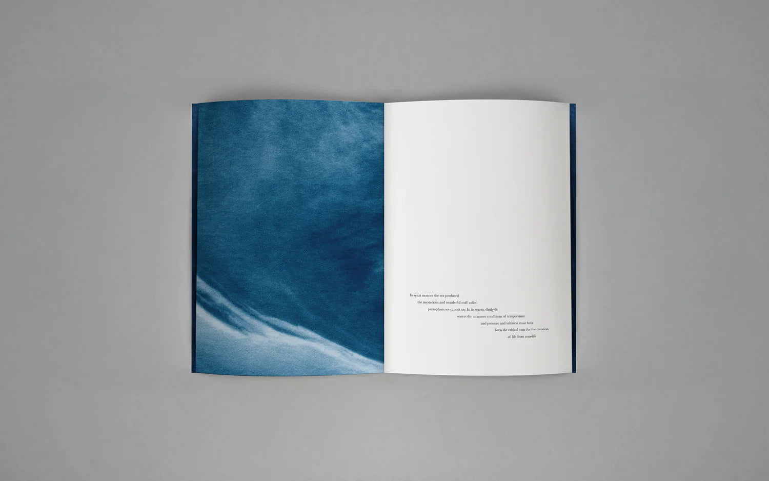 Małgorzata Stankiewicz - Viridescent, afire