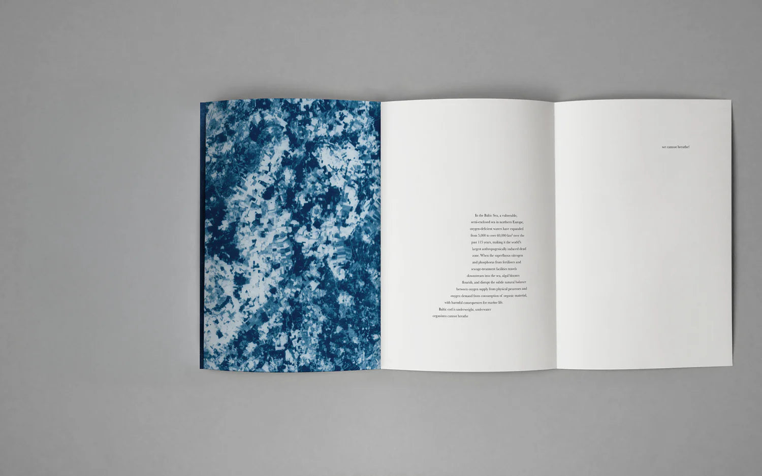 Małgorzata Stankiewicz - Viridescent, afire