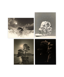 MASAO YAMAMOTO - BONSAI MICROCOSM MACROCOSM DELUXE EDITION