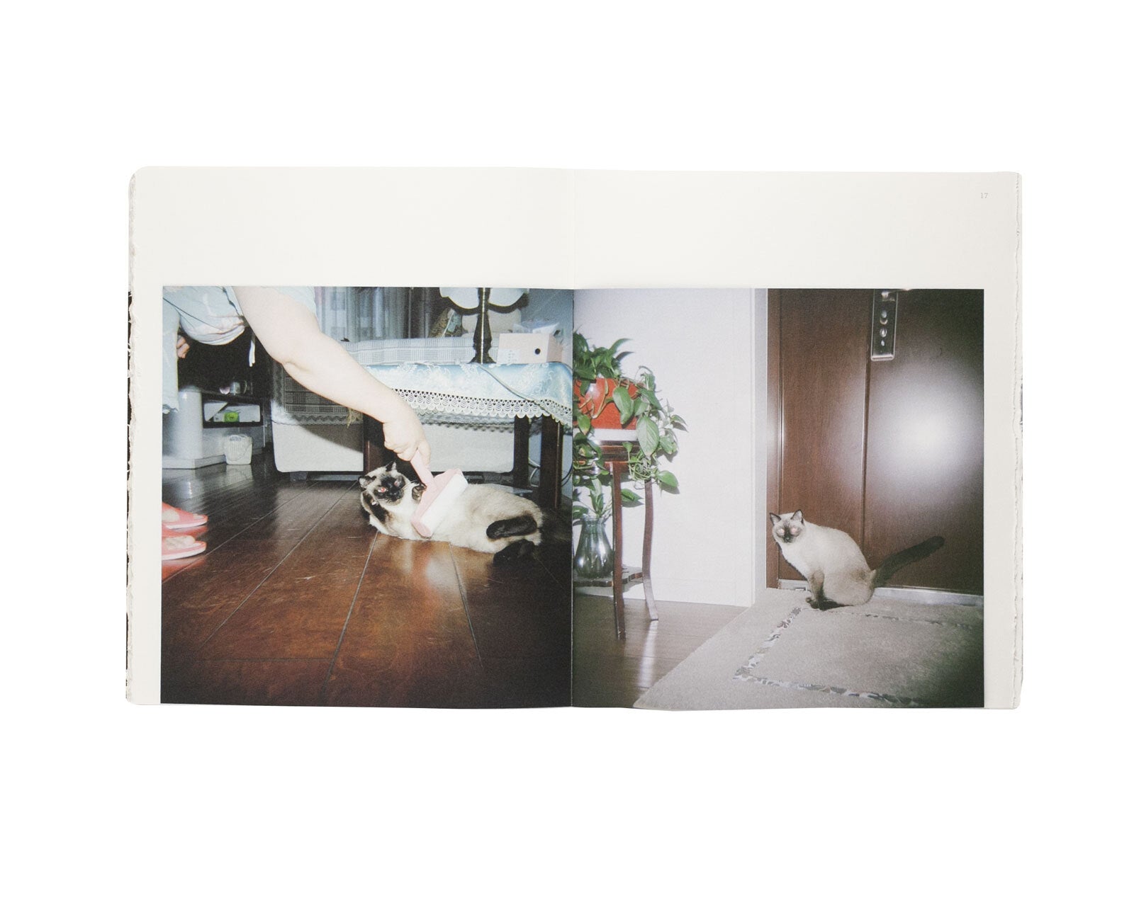 Wei Zihan - Mitani / I Did Nothing Other Than to Tell Them to Smile