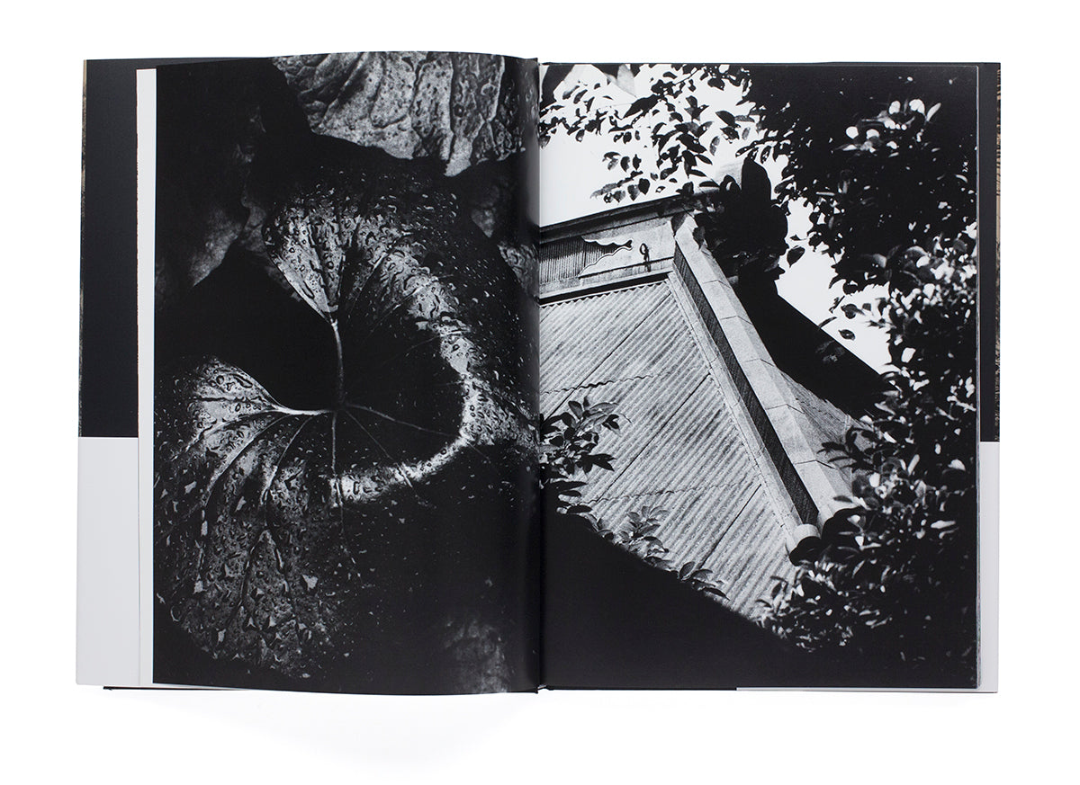 Takuma Nakahira - Adieu à X