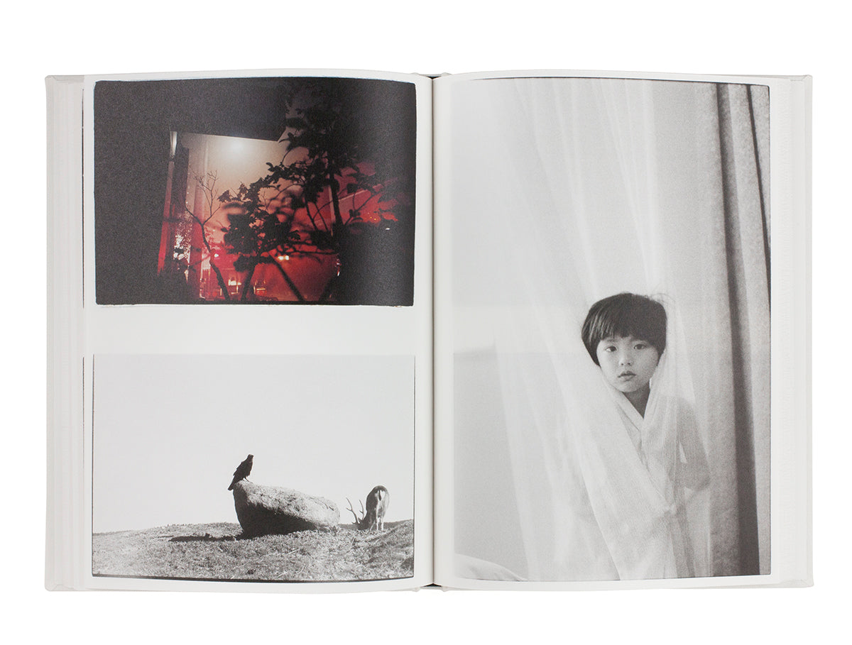 Sakiko Nomura - NUDE / A ROOM / FLOWERS