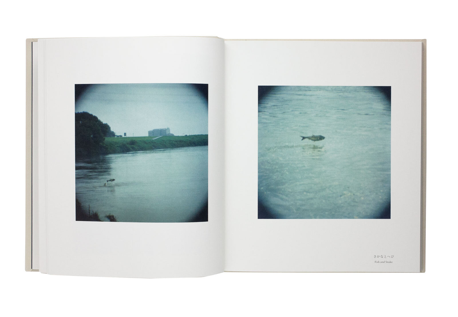 Rika Noguchi - Small Miracles