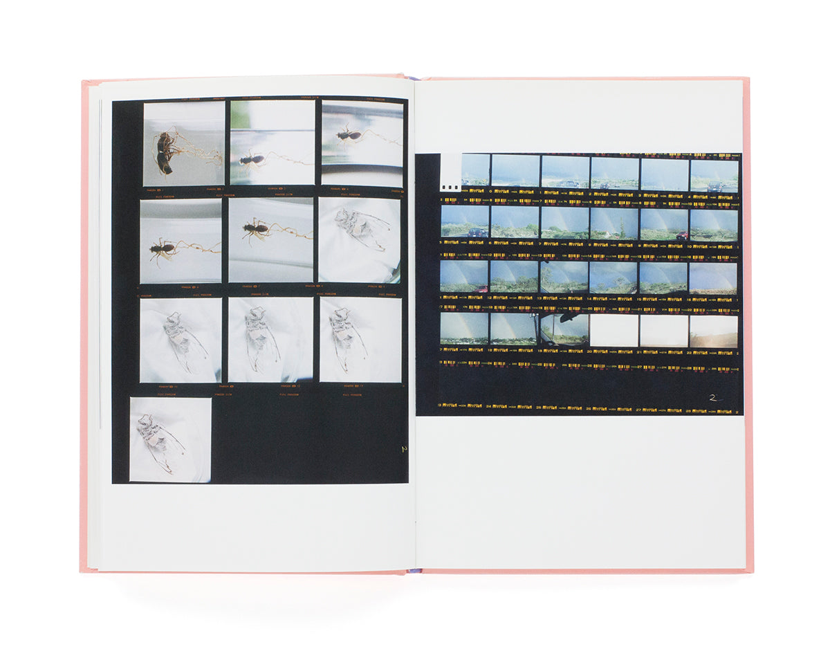 Rinko Kawauchi - The eyes, the ears