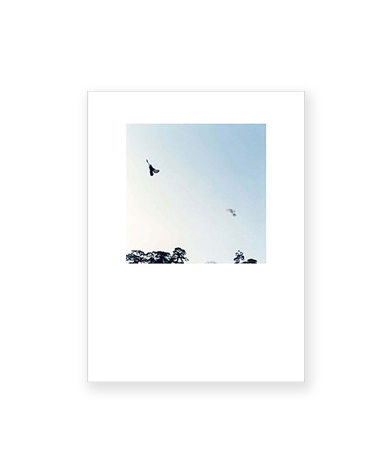 RINKO KAWAUCHI - Light and Shadow